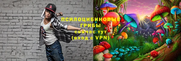 MDMA Горно-Алтайск
