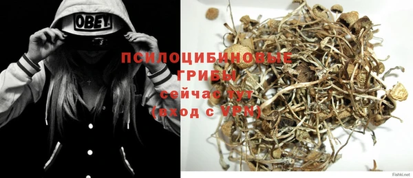 соль ск Горняк